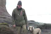 ‘Heroic’ coastguards rescue dog after it slipped and fell into the sea