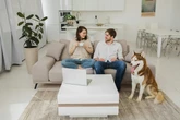 Dogs are treated like ‘child surrogates’ by their owners