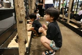 Forget kittens: The pet of choice for Japan’s children is a humble bug