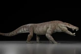 Crocodile relative species that ripped apart dinosaurs discovered