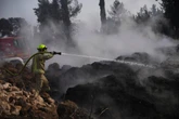 What caused the Israel wildfires? At least 18 suspects over ‘arson’