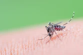 US ‘considering China travel advisory after outbreak of deadly virus