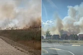 Huge blaze breaks out in Essex field as wildfires battled across UK