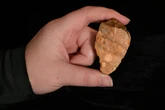 Stone tools found in Indonesia could reveal secrets of ‘hobbit’ humans