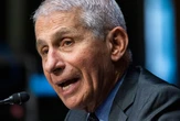 Fauci expects ‘flood’ of mandates once FDA gives vaccine full approval
