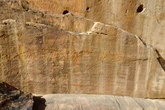 Animal rock art discovery rewrites human history in Middle East