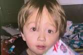 Wisconsin police confirm remains from missing 3-year-old Elijah Vue