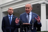 Democrats see party as ‘weak and ineffective,’ new poll finds