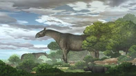 Scientists discover new species of giant rhino ‘taller than giraffe’