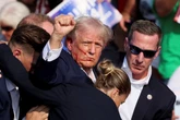 Trump’s children decry ‘political violence’ after he’s shot at rally