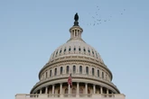 Capitol police called after swastika flag seen on staffer’s wall