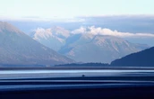 Missing Alaska hiker found injured after suspected bear attack