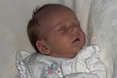 Heartbroken family pay tribute to baby killed in Yorkshire dog attack