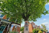 Campaigners fight to save 120-year-old tree from ‘irrational’ council