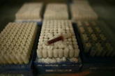 Half a million Britons’ medical data for sale in UK Biobank breach