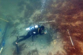 Danish ships involved in slave trade uncovered off Costa Rica