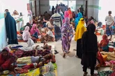 Dengue kills 101 as Bangladesh stares at major outbreak