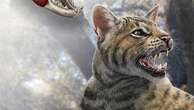 New prehistoric cat species discovered in Spain