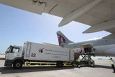 Qatar Airways accused of killing vegetarian passenger with meat meal