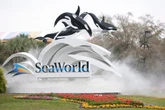 SeaWorld visitor sues after duck hit her while on roller coaster