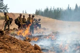 Two firefighters battling Washington state wildfire arrested by USCBP