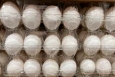 Costco organic eggs recalled over concerns of salmonella contamination