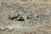 Residents allowed to return home after WWII bomb disarmed