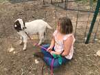 California sheriff seized girl’s pet goat. Now they owe her $300k