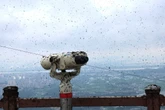 Locals struggle to grapple with invasion of ‘lovebugs’