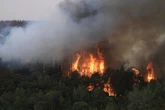 Israel wildfires injure 12 and close Tel Aviv-Jerusalem highway