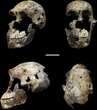 Underworld discovery casts doubt on understanding of human evolution