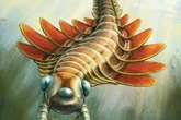 Three-eyed ancient predator ‘unlike any living animal’ discovered