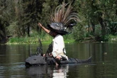 The desperate hunt for an endangered creature in Mexico’s canals