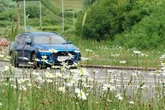 What is ‘No Mow May’? The movement aiming to boost nature gardens