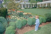 Jackie Kennedy’s grandson slams Trump for paving over her garden