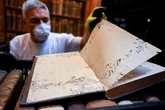 Paper-eating beetles threaten 100,000 books at medieval abbey
