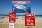 New shark alert system would send warnings to phones like AMBER Alert