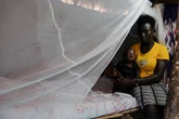 Cuts to world’s biggest malaria fund risk lives of 750,000 children