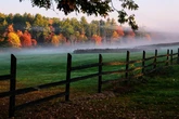 Leaf-peeping season has arrived. This year’s showing may disappoint