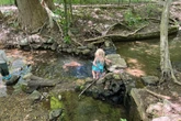 Fox News host defends RFK Jr swimming in Rock Creek