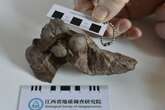 Smallest known dinosaur egg found in China sets new record