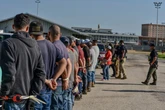 Restaurants, hotels and farms beg Trump to exempt them from ICE raids