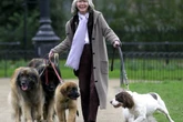 Jilly Cooper believed you’re reunited with your dogs in heaven