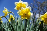 UK weather: Britain set to bask in 23C heat this weekend