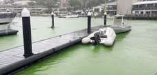 Sydney harbour water turns bright green due to ‘bucket-full’ of dye