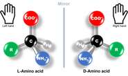 Lab-made ‘mirror bacteria’ could endanger all life on earth