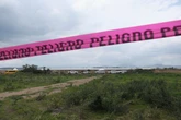 How pigs could help find missing Mexican drug cartel victims