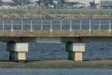 Human head found floating in New York bay