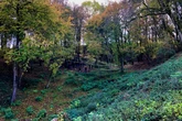 First scientific study of World War One crater yields ‘significant’ new insights