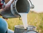 Experts warn against the resurgence in raw milk consumption